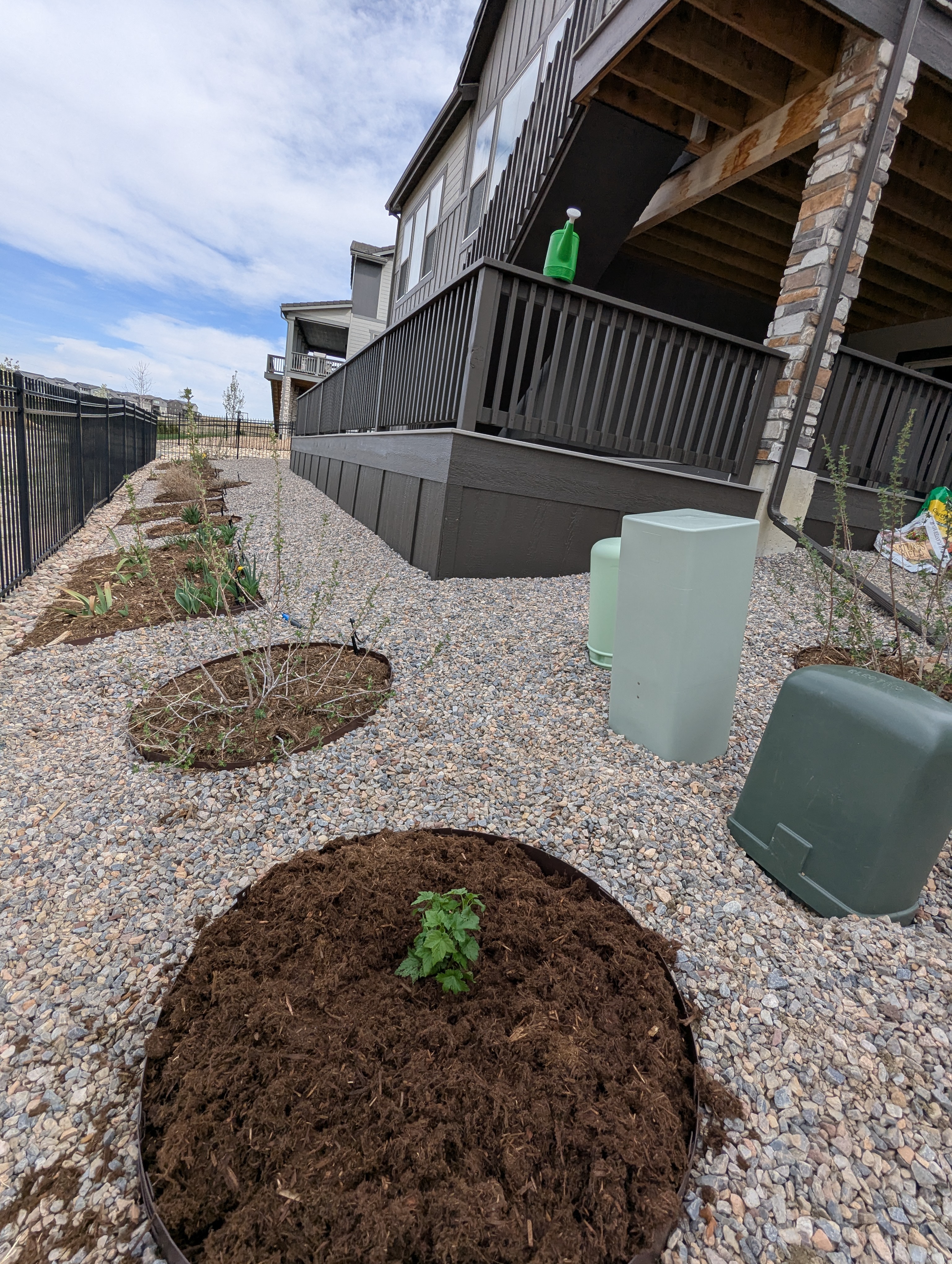 Garden, Flowers, Morrison, Colorado